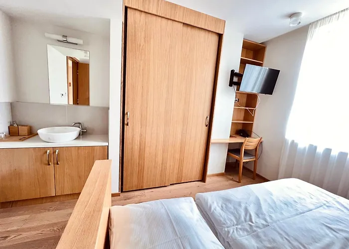 Raj Zdravia فندق